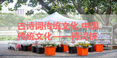 古诗词传统文化 中国传统文化——诗词快 