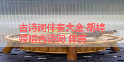 古诗词伴奏大全 胡婷婷唱古诗词 伴奏