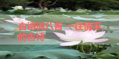 古诗词八首 一往情深的古诗