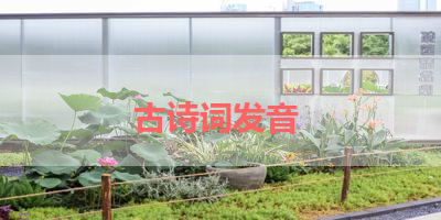 古诗词发音 