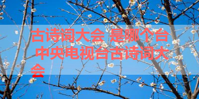 古诗词大会 是哪个台 中央电视台古诗词大会