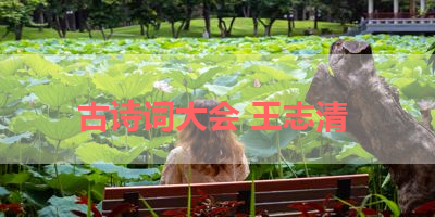 古诗词大会 王志清 