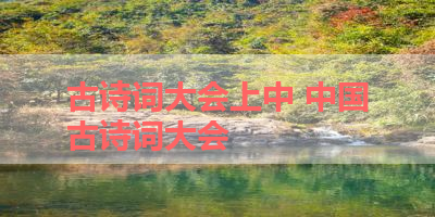 古诗词大会上中 中国古诗词大会