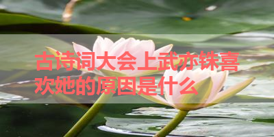 古诗词大会上武亦铢喜欢她的原因是什么 