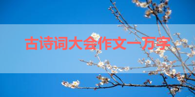 古诗词大会作文一万字 