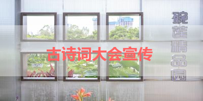 古诗词大会宣传 
