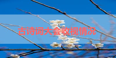 古诗词大会收视情况 