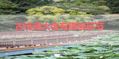古诗词大会有哪些环节 