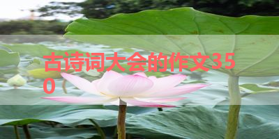 古诗词大会的作文350 