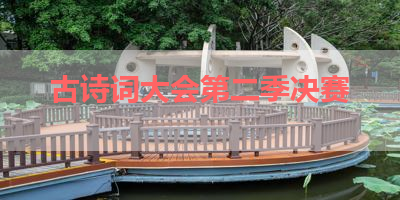 古诗词大会第二季决赛 