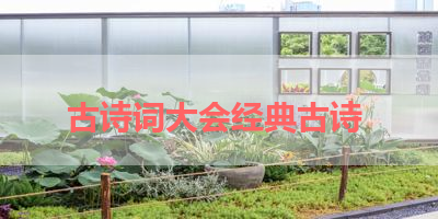 古诗词大会经典古诗 