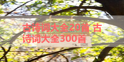 古诗词大全20首 古诗词大全300首
