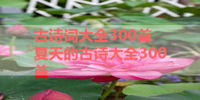 古诗词大全300首 夏天的古诗大全300首