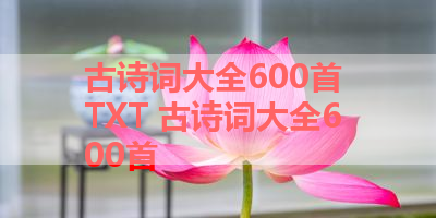 古诗词大全600首 TXT 古诗词大全600首