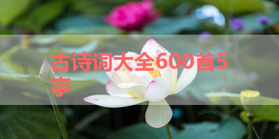 古诗词大全600首5字 