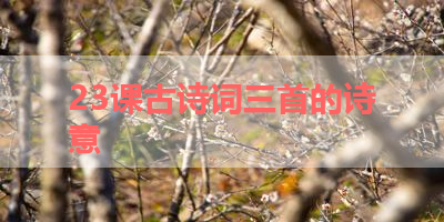 23课古诗词三首的诗意 