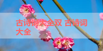 古诗词大全双 古诗词大全