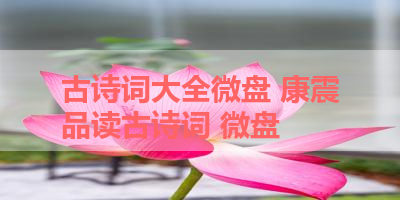 古诗词大全微盘 康震品读古诗词 微盘