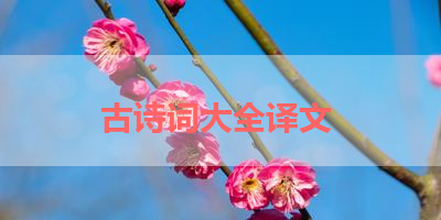 古诗词大全译文 