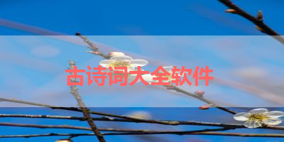 古诗词大全软件 