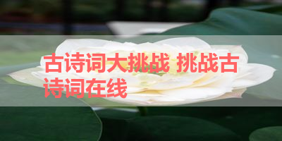 古诗词大挑战 挑战古诗词在线