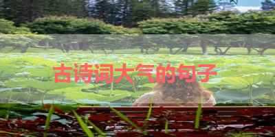 古诗词大气的句子 
