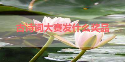古诗词大赛发什么奖品 