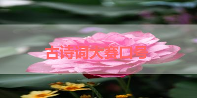 古诗词大赛口号 