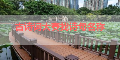 古诗词大赛找诗句名称 