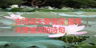 古诗词夫妻情深 描写夫妻情深的诗句 