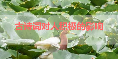 古诗词对人积极的影响 
