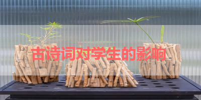 古诗词对学生的影响 