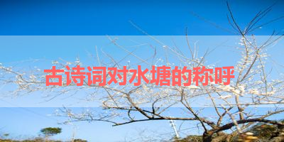 古诗词对水塘的称呼 