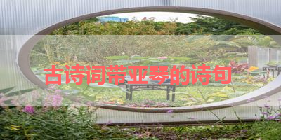 古诗词带亚琴的诗句 