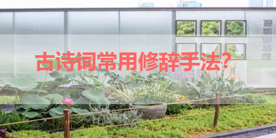 古诗词常用修辞手法？ 