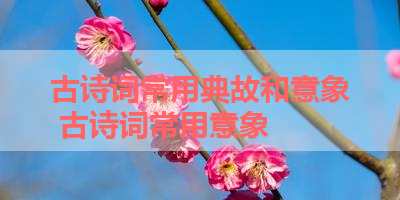 古诗词常用典故和意象 古诗词常用意象