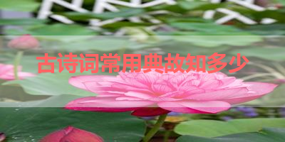 古诗词常用典故知多少 