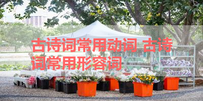 古诗词常用动词 古诗词常用形容词