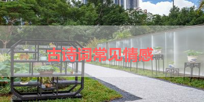 古诗词常见情感 