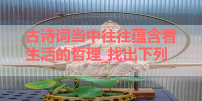 古诗词当中往往蕴含着生活的哲理_找出下列 