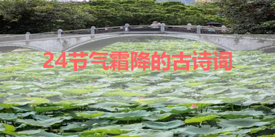 24节气霜降的古诗词 