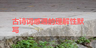 古诗词感遇的理解性默写 
