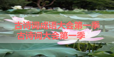 古诗词成语大会第一季 古诗词大会第一季