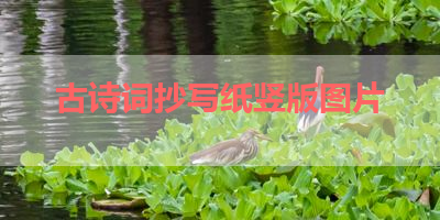 古诗词抄写纸竖版图片 