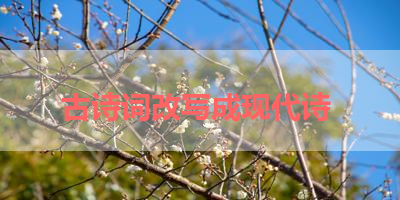古诗词改写成现代诗 