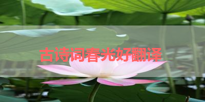 古诗词春光好翻译 