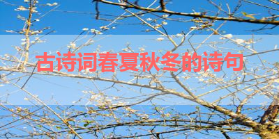 古诗词春夏秋冬的诗句 