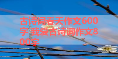 古诗词春天作文600字 我爱古诗词作文800字