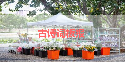 古诗词板报 