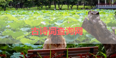 古诗词查询网 